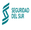 seguridad del sur